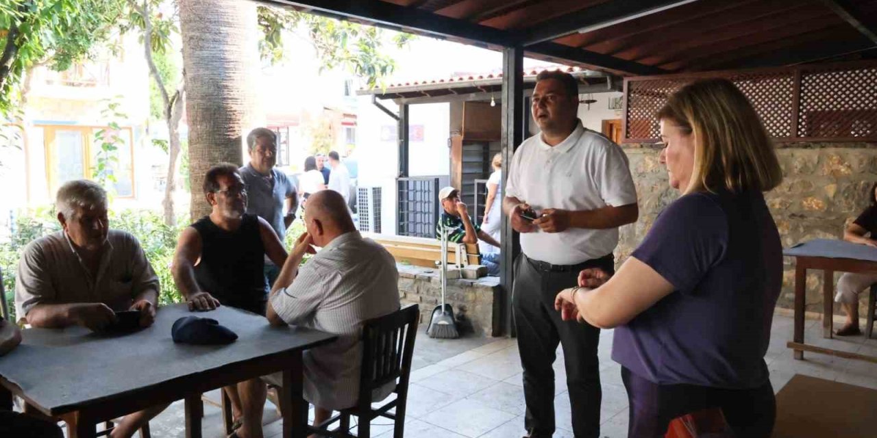 Akdeniz meyve sineğine karşı mücadele sürüyor