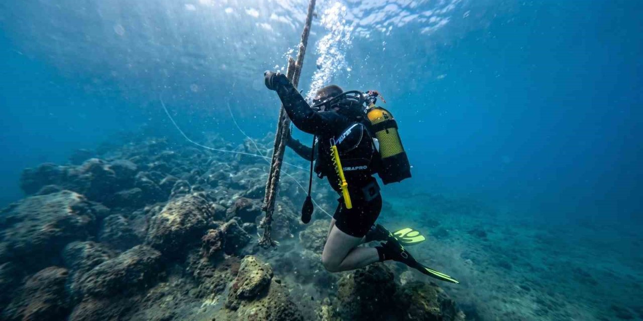 Güvercinada açıklarında deniz dibi temizliği yapıldı