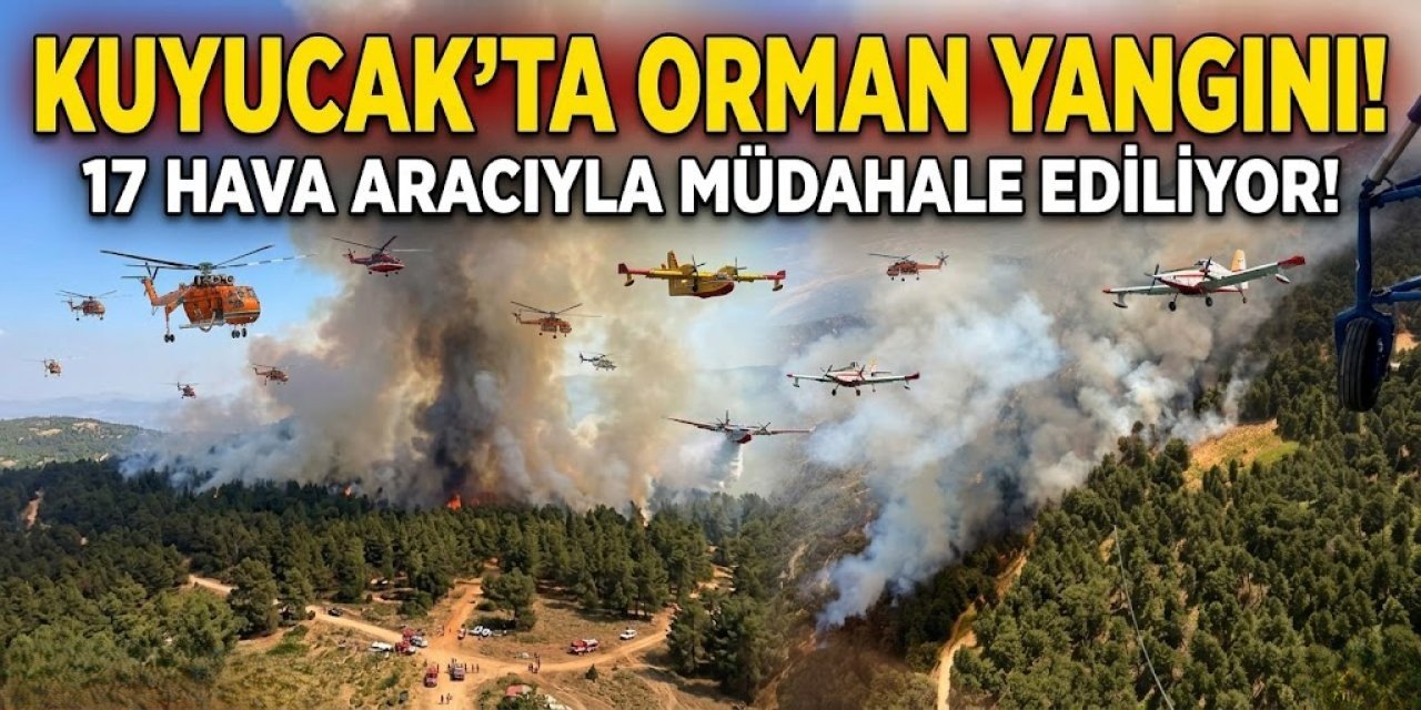 Kuyucak’ta orman yangını! 17 hava aracıyla müdahale ediliyor