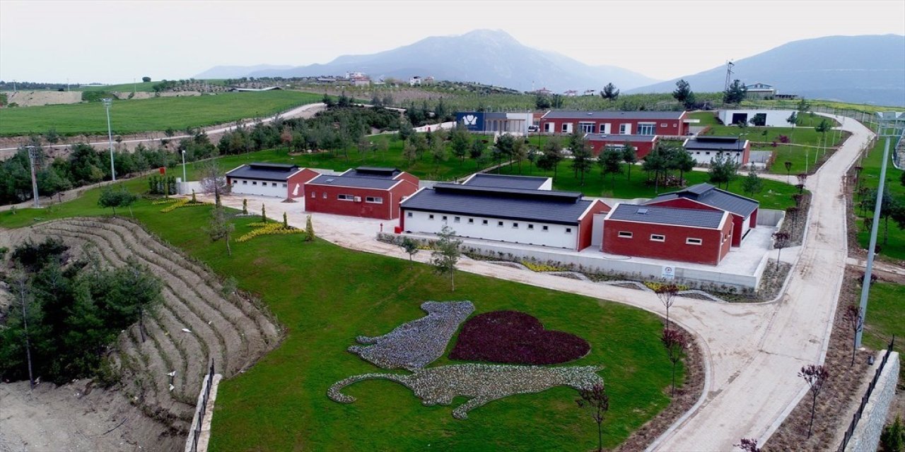 Denizli Büyükşehir Belediyesinden barınak iddialarına suç duyurusu