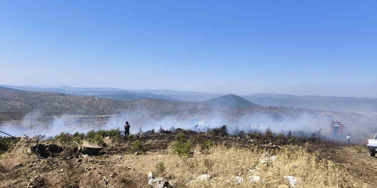 Menteşe’de makilik yangını