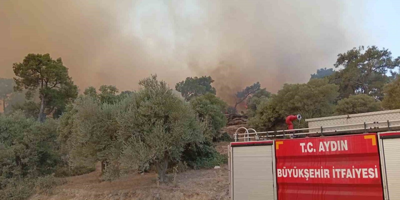 İtfaiye erleri alevlerin arasında kalan kaplumbağayı böyle kurtardı