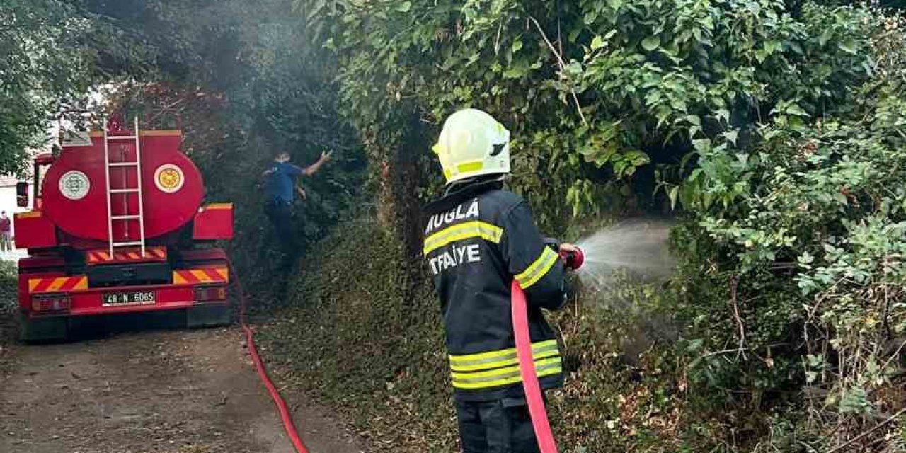 Muğla’da korkutan ot yangını: 30 metrekare alan zarar gördü