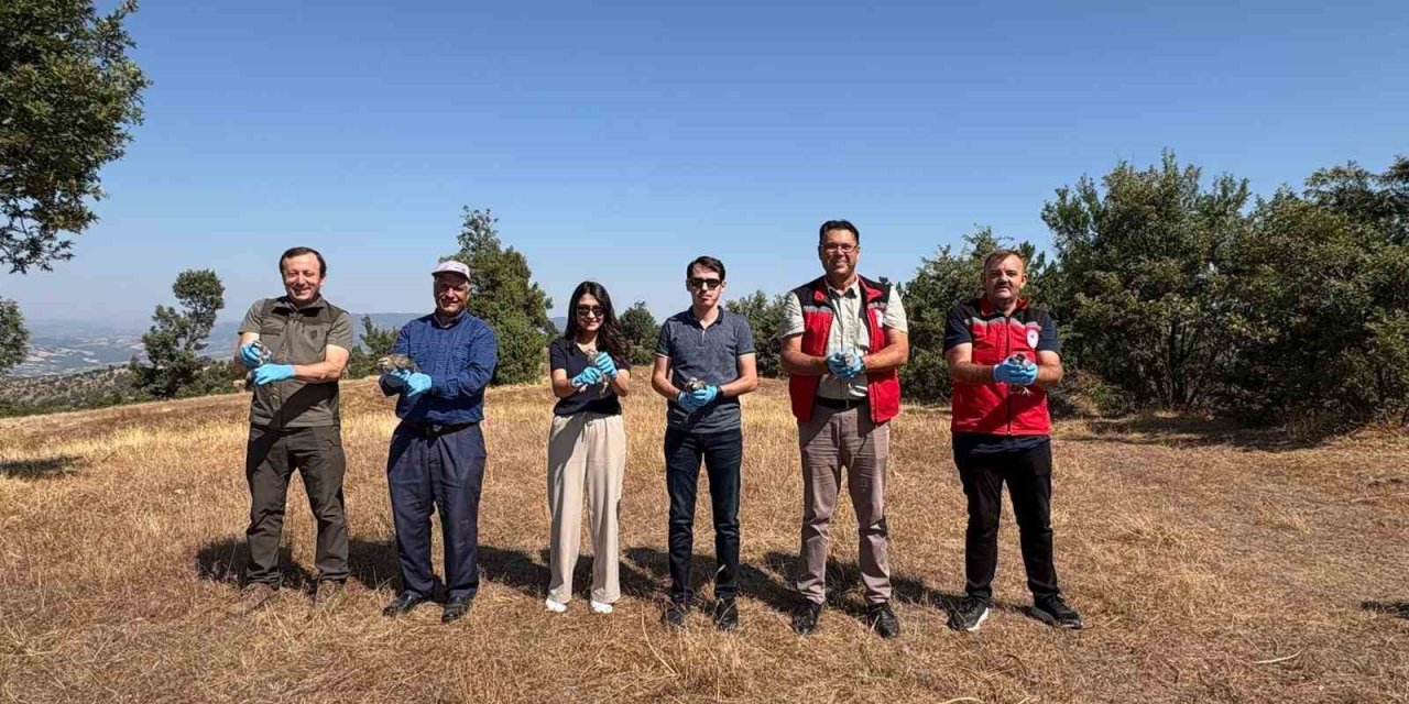 Manisa Gördes’te ekolojik denge için doğaya 500 keklik bırakıldı