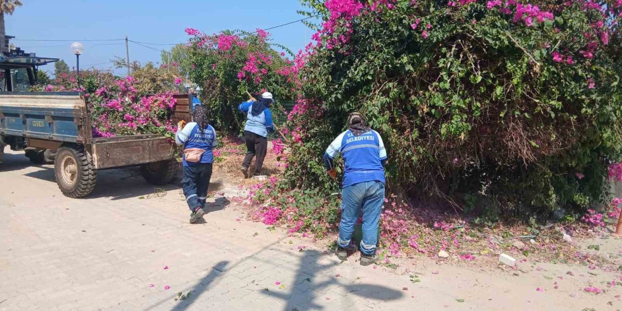 Didim Belediyesi kent genelinde ot biçme ve budama çalışmalarını sürdürüyor