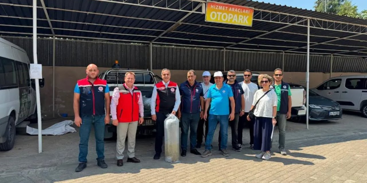 Aydın’da 535 bin sazan suyla buluştu