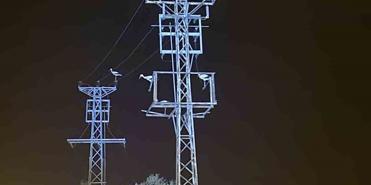 Dönüş yolundaki leyler bazı bölgeleri elektriksiz bıraktı