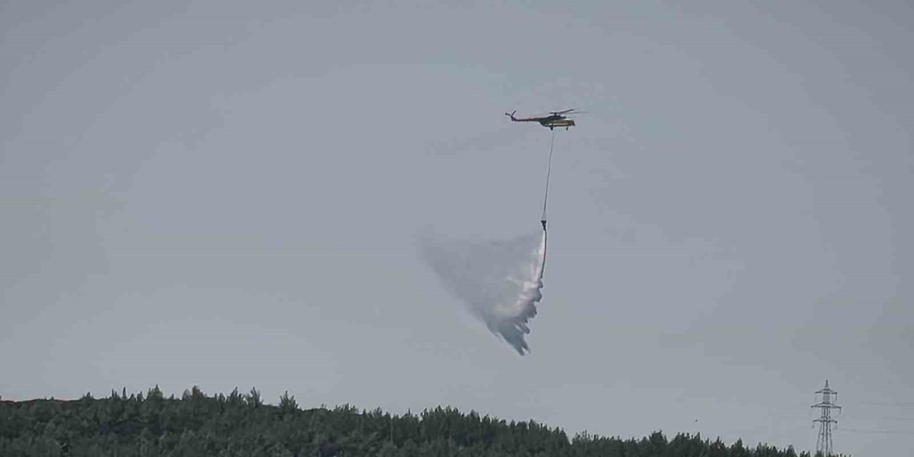 Menteşe’de makilik yangını