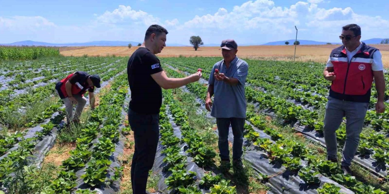Aslanapa’da çilek ve biber üreticisine ziyaret