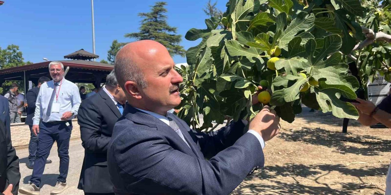 Aydın’a 100 milyonluk yatırım