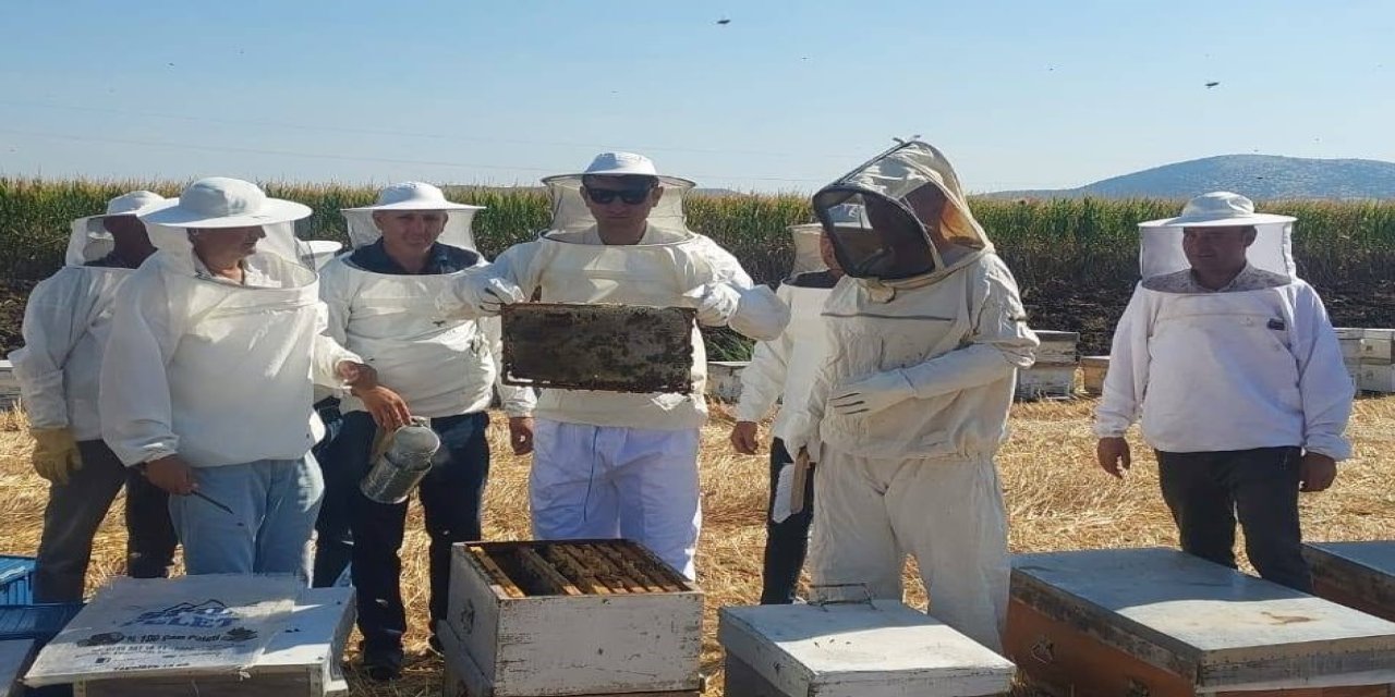 Kaymakam Özcan bal hasadına katıldı
