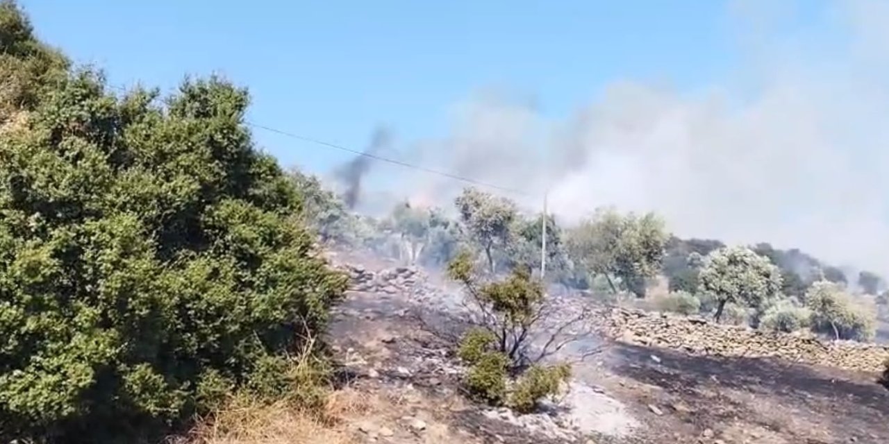 Çine’de zirai alanda yangın