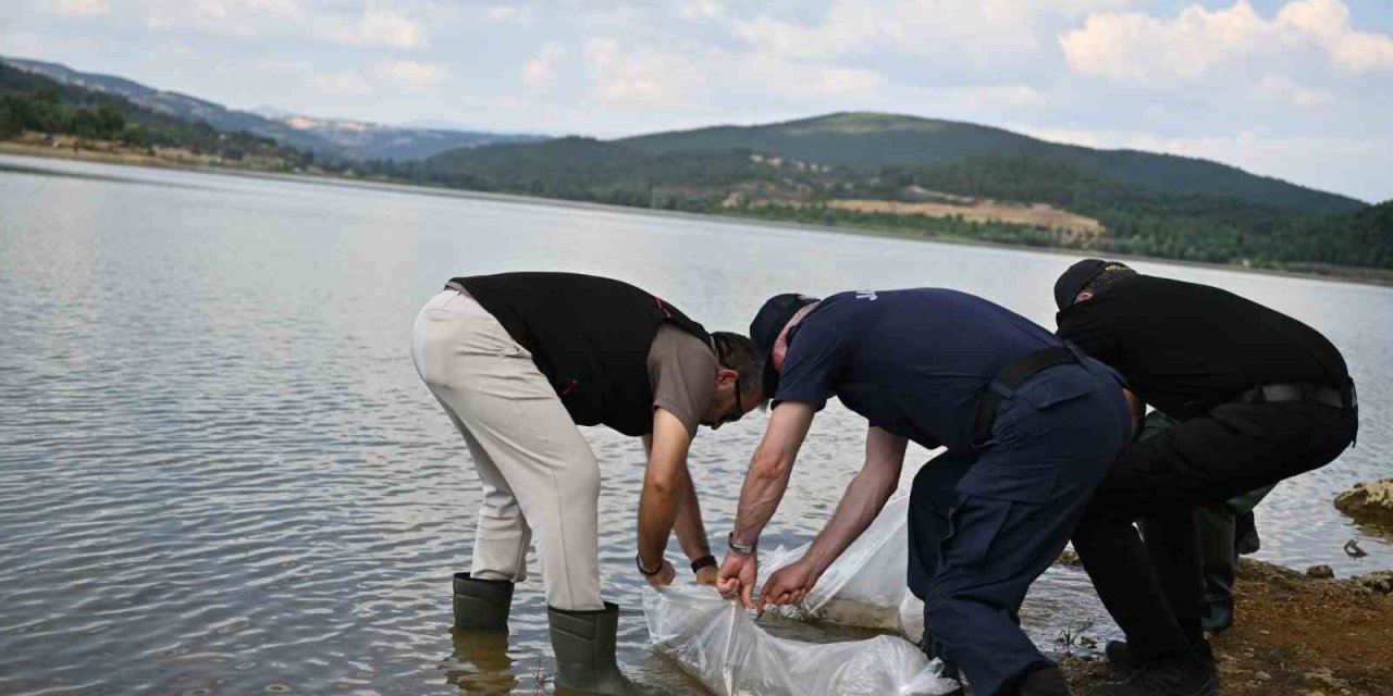 Uşak’ta Göğem Göleti’ne pullu sazan yavruları bırakıldı