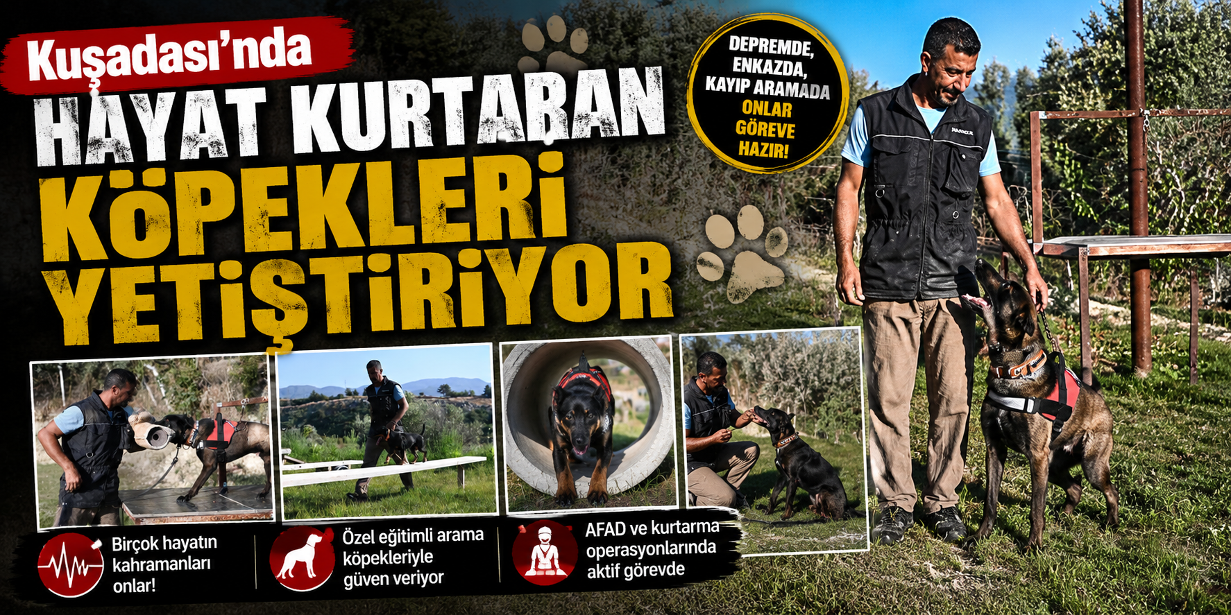 Kuşadası’nda hayat kurtaran köpekleri yetiştiriyor