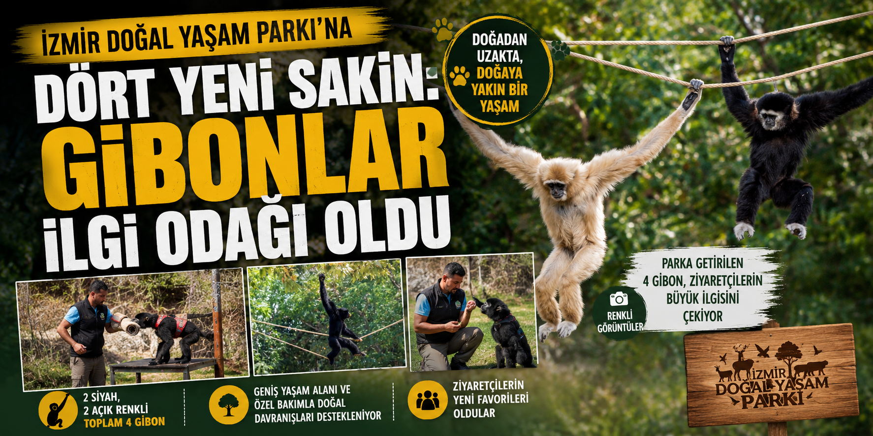 İzmir Doğal Yaşam Parkı’na dört yeni sakin: Gibonlar ilgi odağı oldu