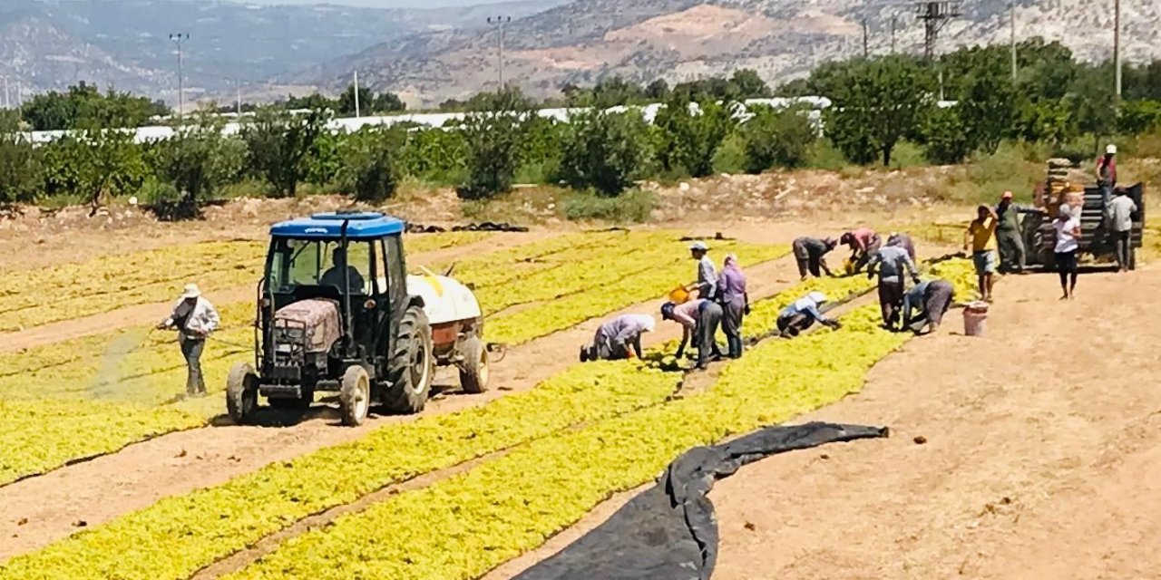 Üzüm üreticilerinin sorunlarını Cumhurbaşkanlığına aktarıldı
