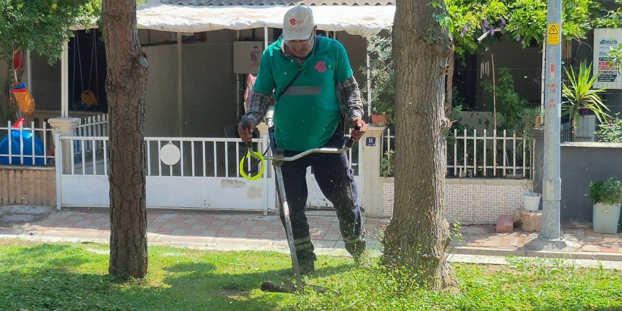 Efeler’de yeşil alanların bakımı sürüyor