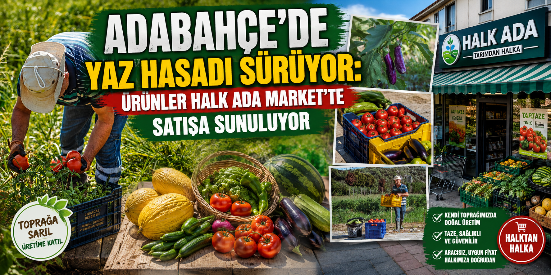 Adabahçe’de yaz hasadı sürüyor: Ürünler Halk Ada Market’te satışa sunuluyor