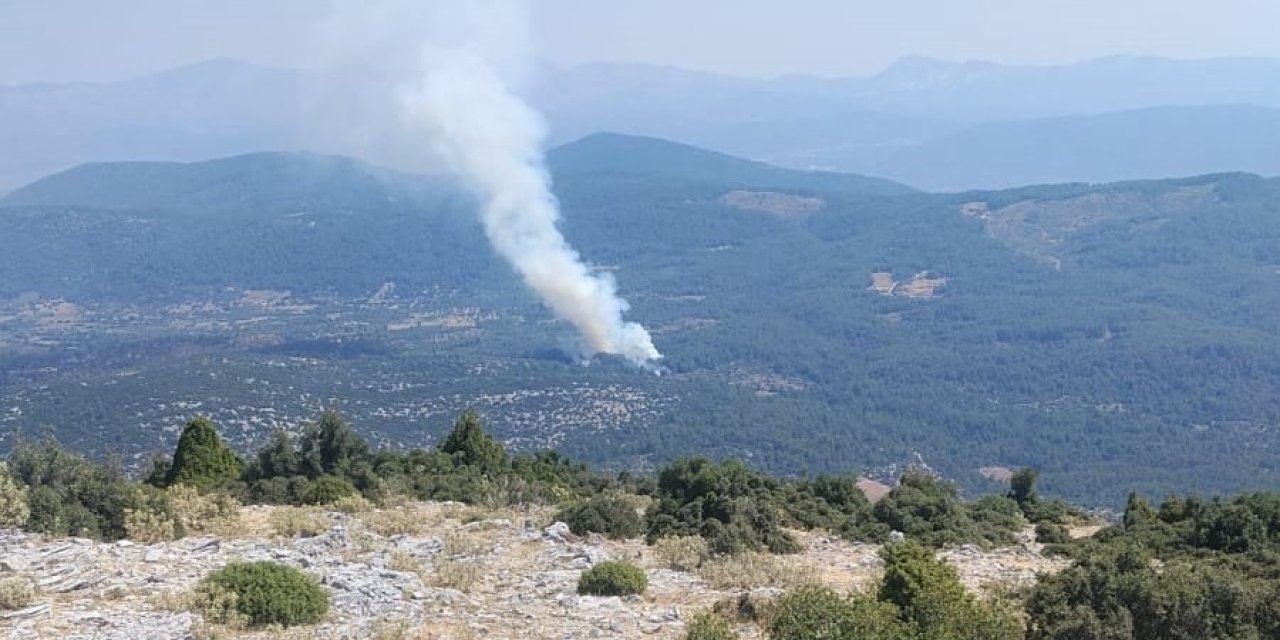 Muğla’da orman yangını