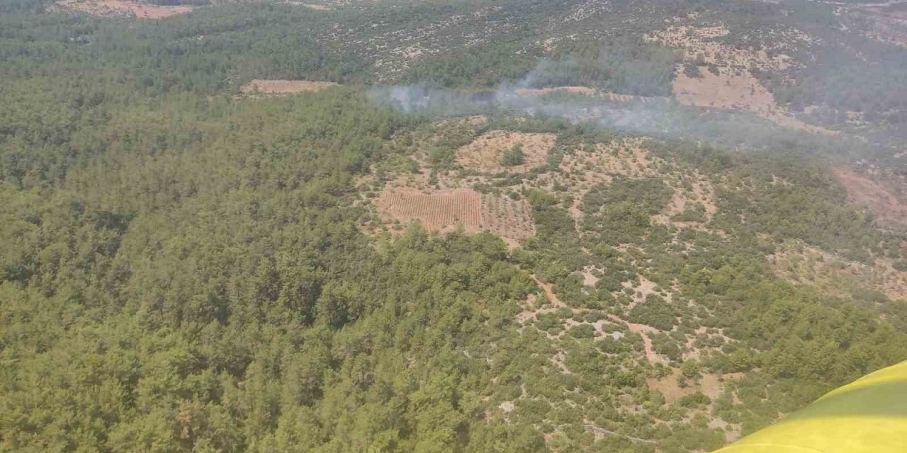 Muğla’da orman yangını kontrol altına alındı