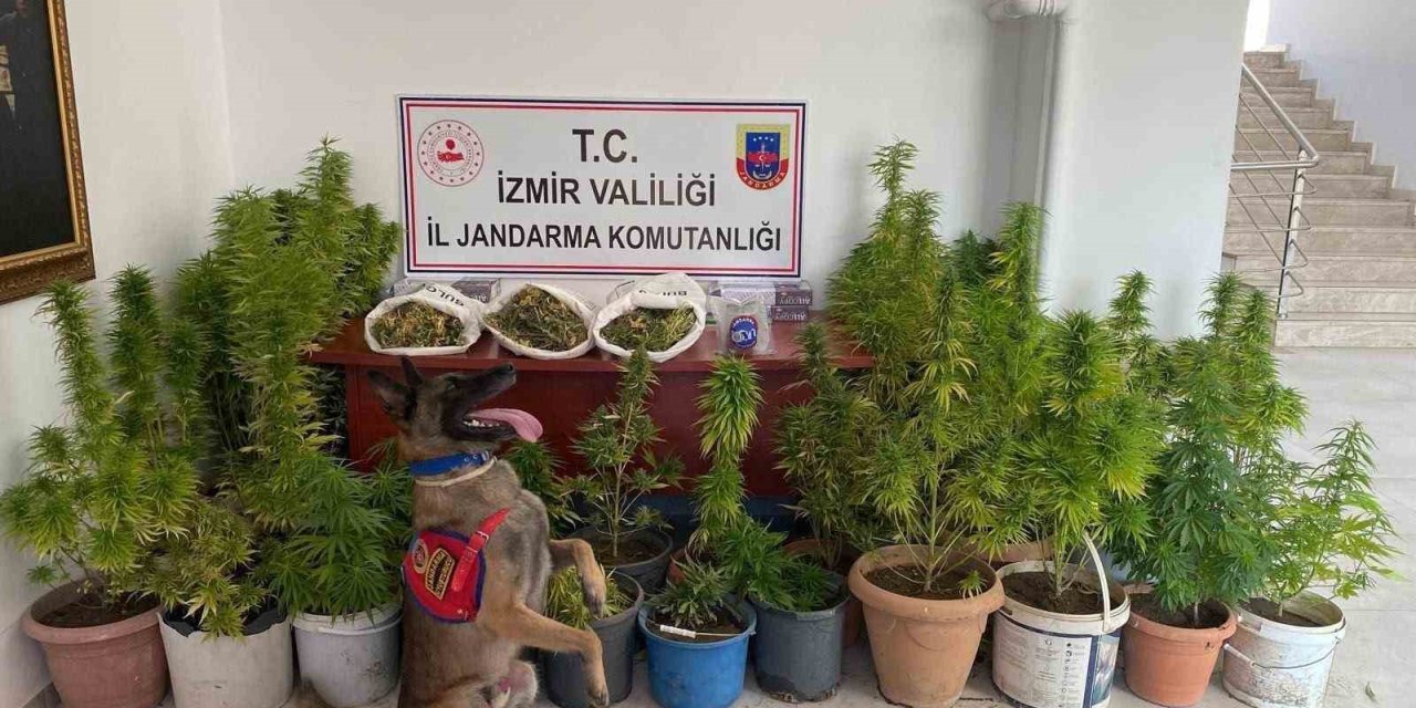 İzmir’de uyuşturucu operasyonu: 3 tutuklama