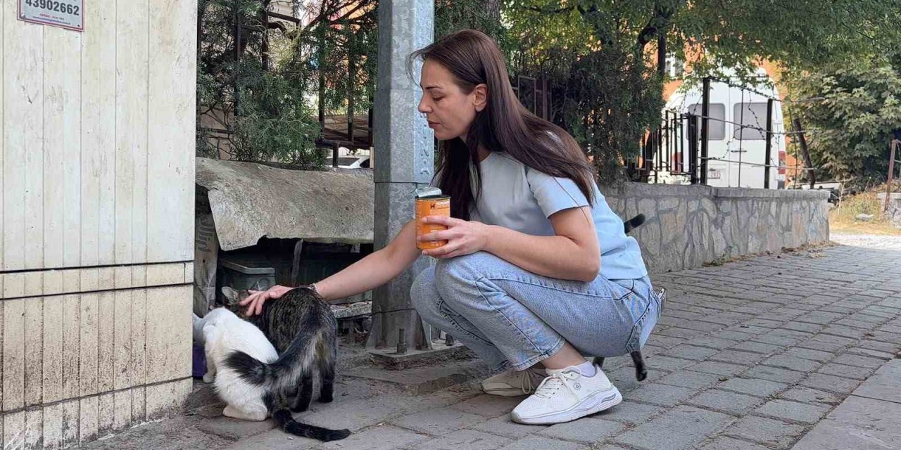 Kedi vahşeti: Başını ve ayaklarını kesip apartmanın önüne bıraktılar