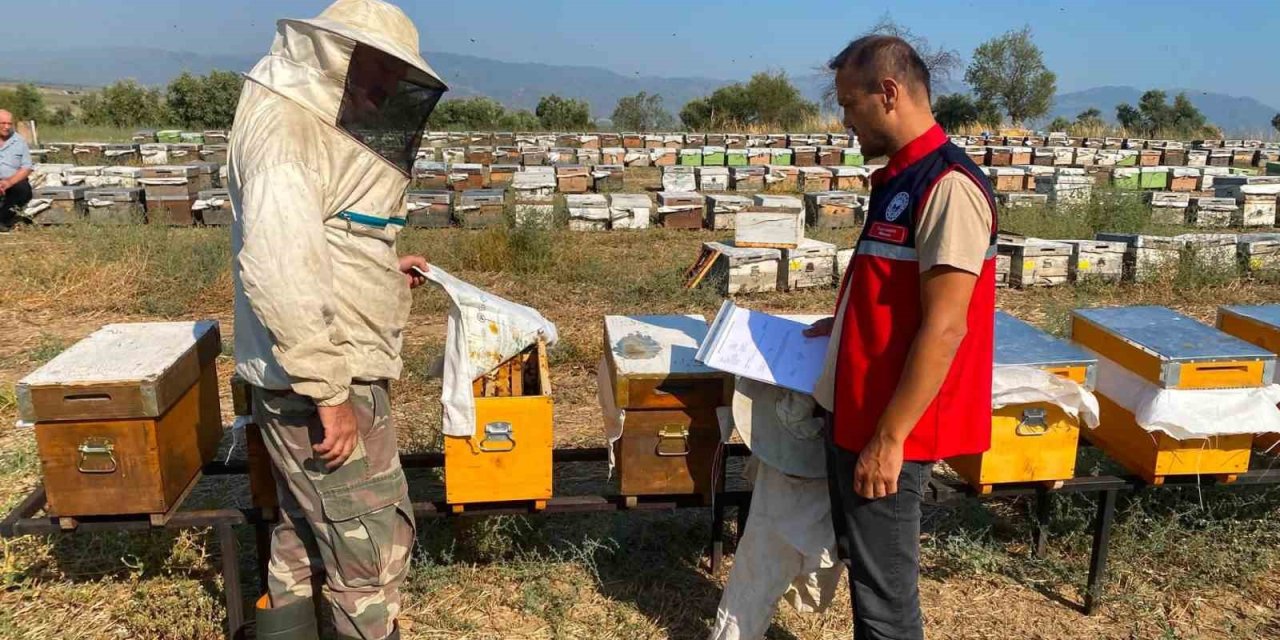 Nazilli’de arılı kovan tespit çalışmaları sürüyor