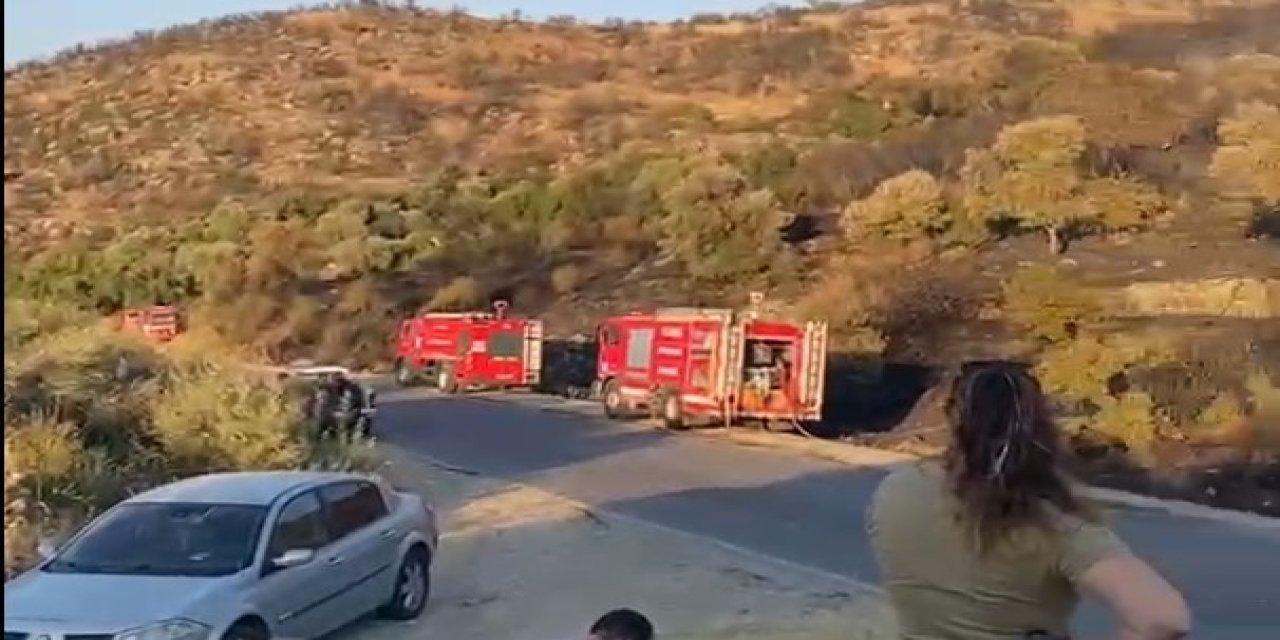 Söke’deki orman yangını kontrol altına alındı