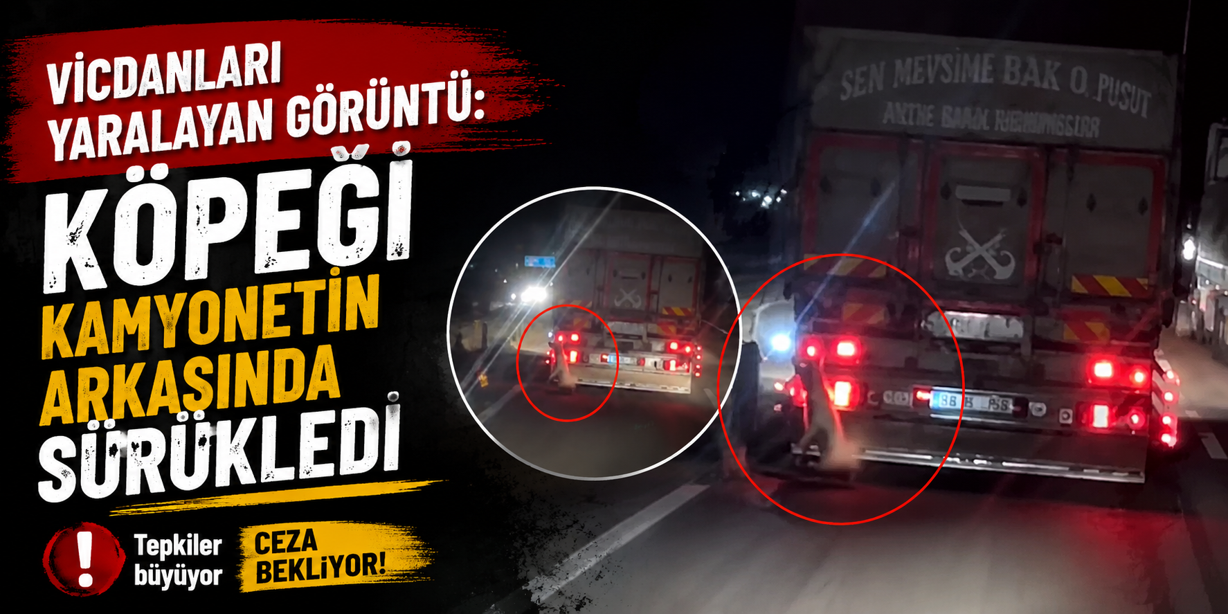 Vicdanları yaralayan görüntü: Köpeği kamyonetin arkasında sürükledi
