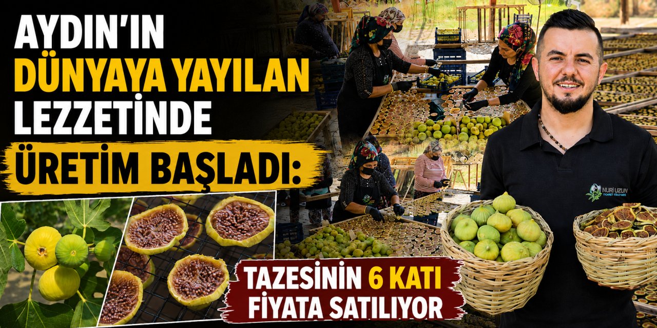 Aydın’ın dünyaya yayılan lezzetinde üretim başladı: Tazesinin 6 katı fiyata satılıyor