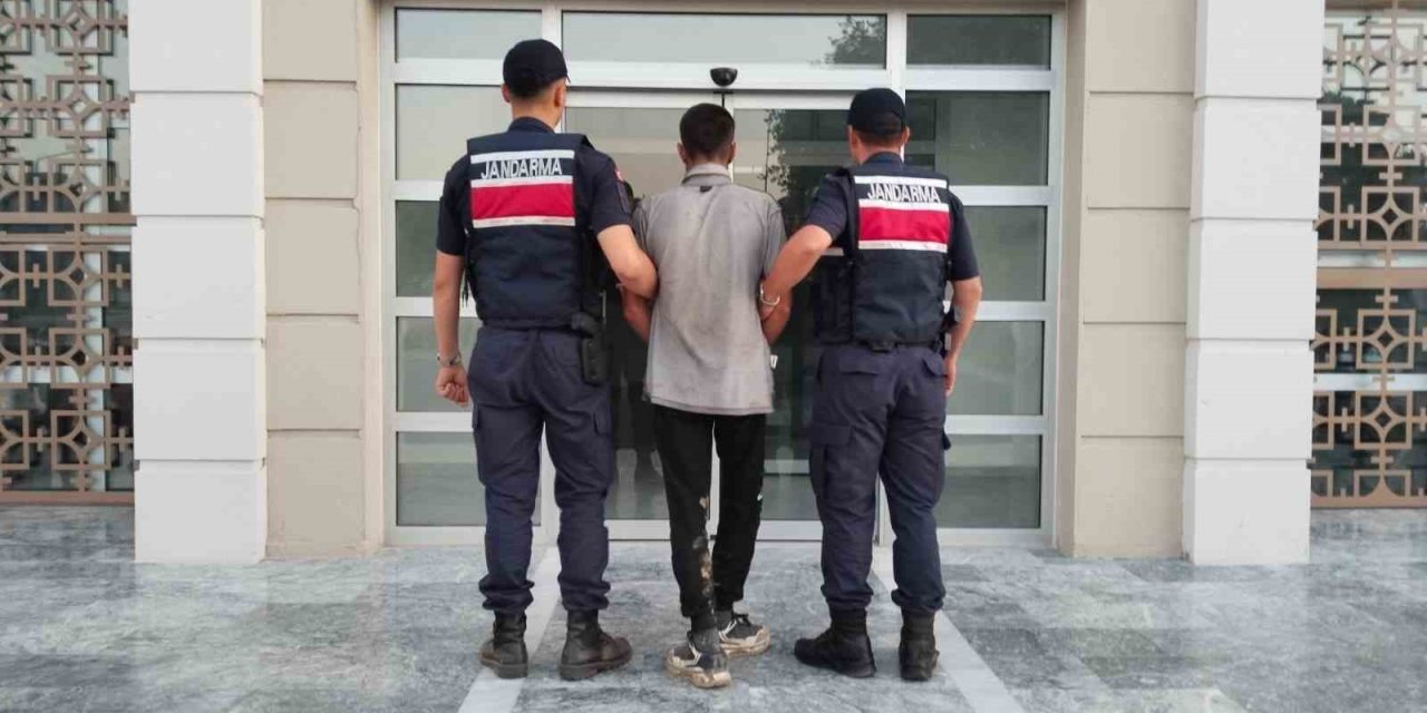 Germencik’te incir hırsızlığına suçüstü