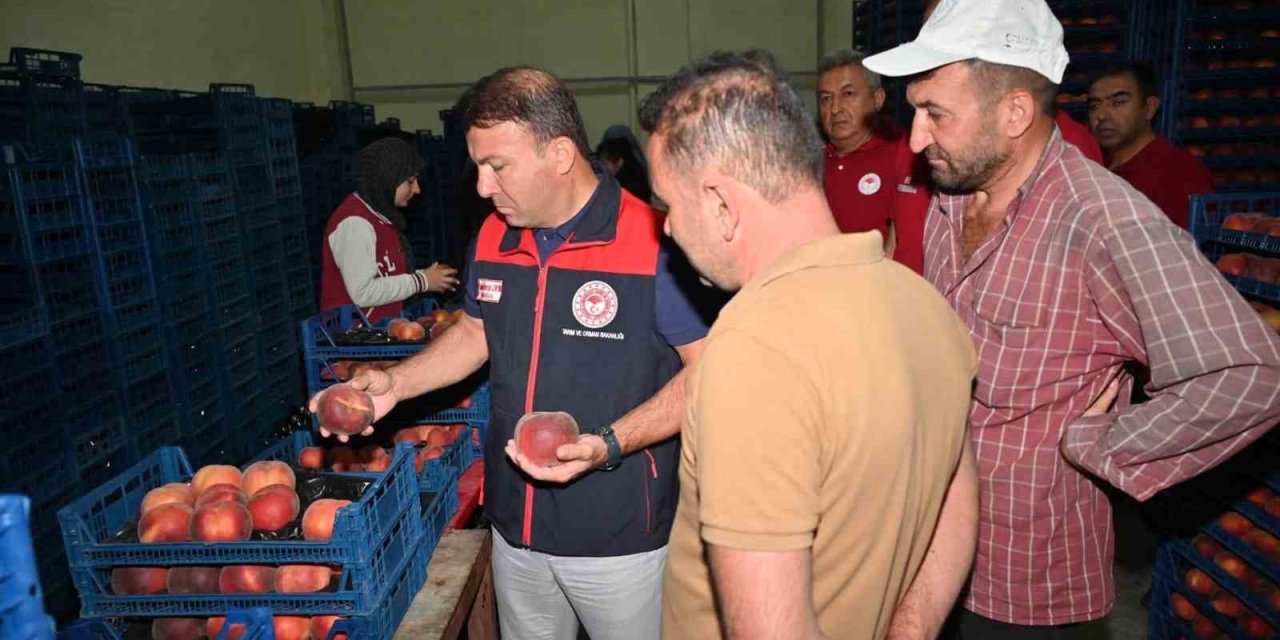 Çivril’de şeftalinin üretimden pazarlamaya yolculuğu incelendi
