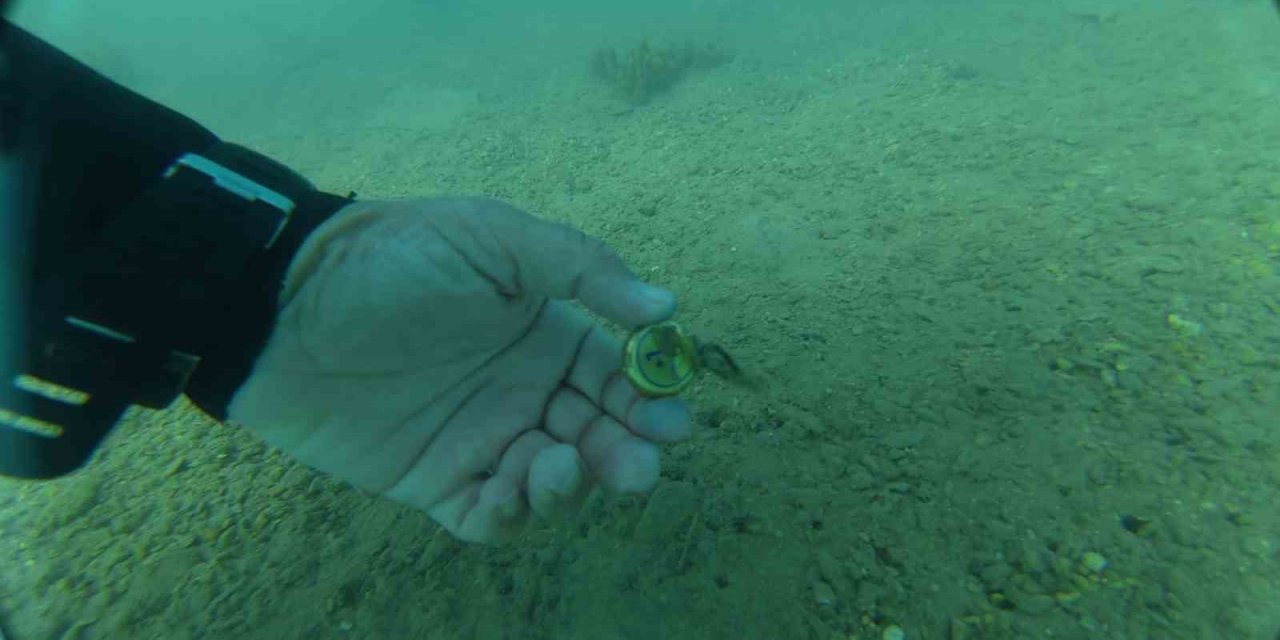 Bodrum’da deniz dibinden çıkanlar şaşırttı: Torba sahilinden 75 kilo atık çıkarıldı