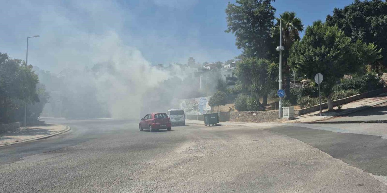 Bodrum’daki yangın büyümeden söndürüldü
