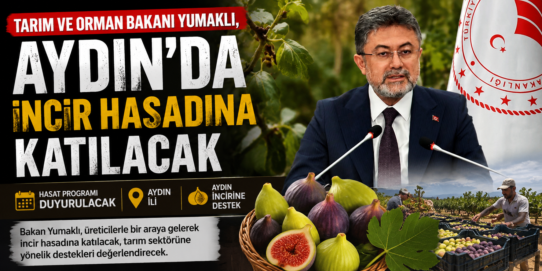 Tarım ve Orman Bakanı Yumaklı, Aydın’da incir hasadına katılacak