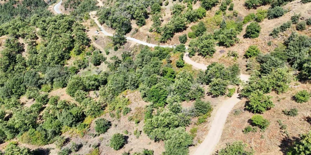 Nazilli Belediyesi Apaklar’da yolları yeniliyor