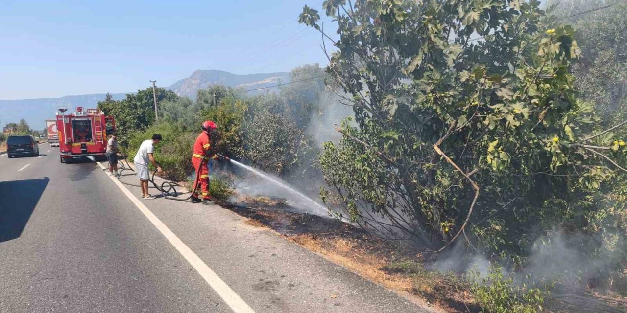 Ula’da yol kenarında başlayan alevler korkuttu