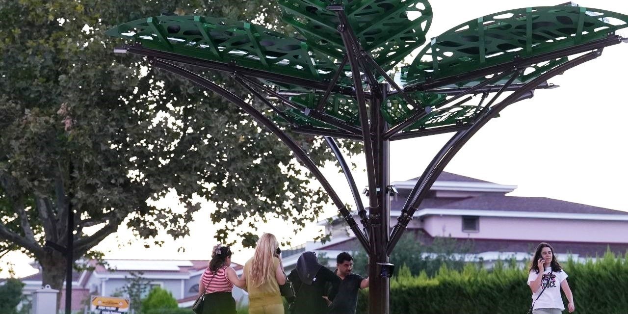 Denizli’de "Solar Ağaç" kent yaşamıyla buluştu