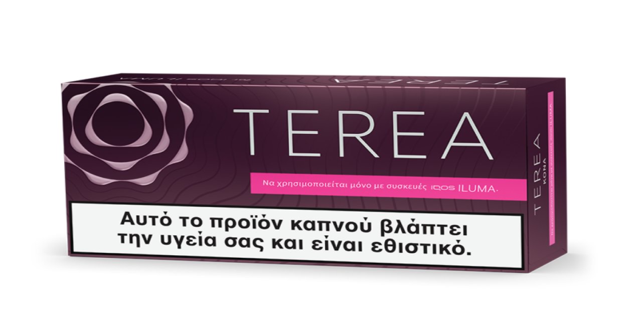 TEREA Model ve Seçenek Karşılaştırma Rehberi