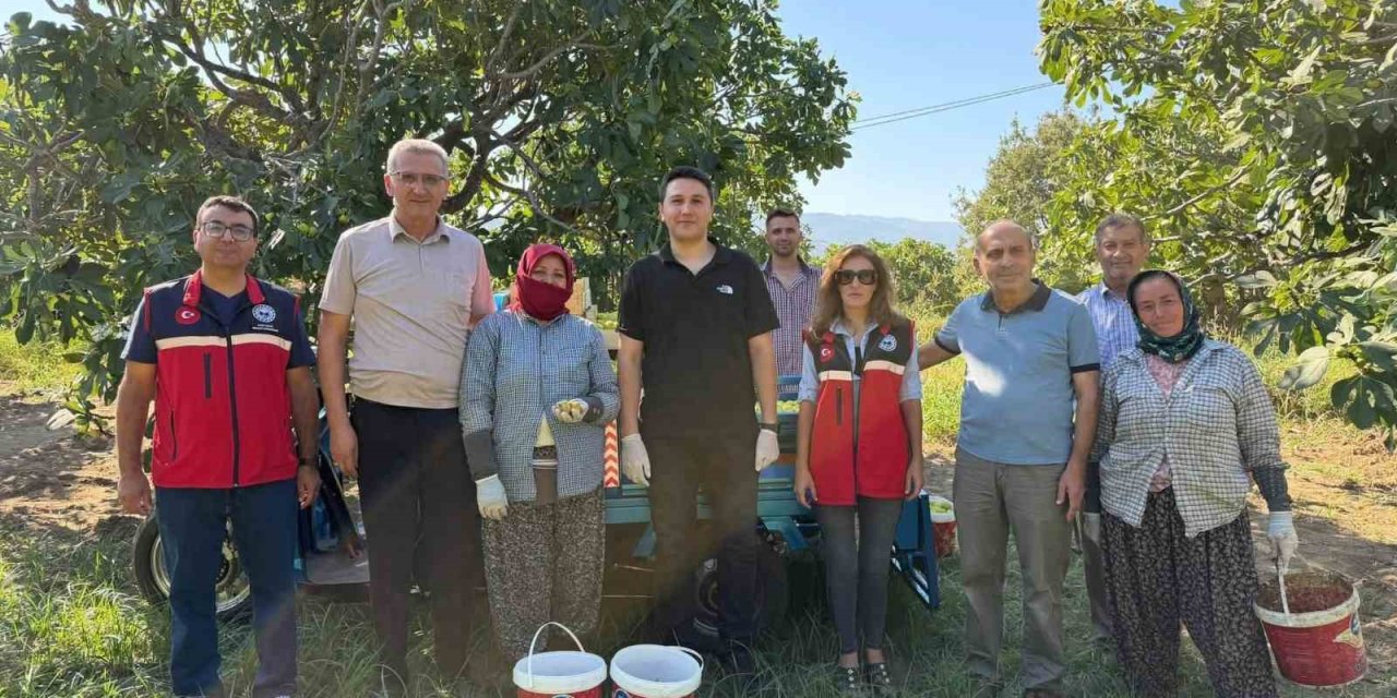 Kaymakam Haydaroğlu, Feslek’te incir üreticileriyle buluştu