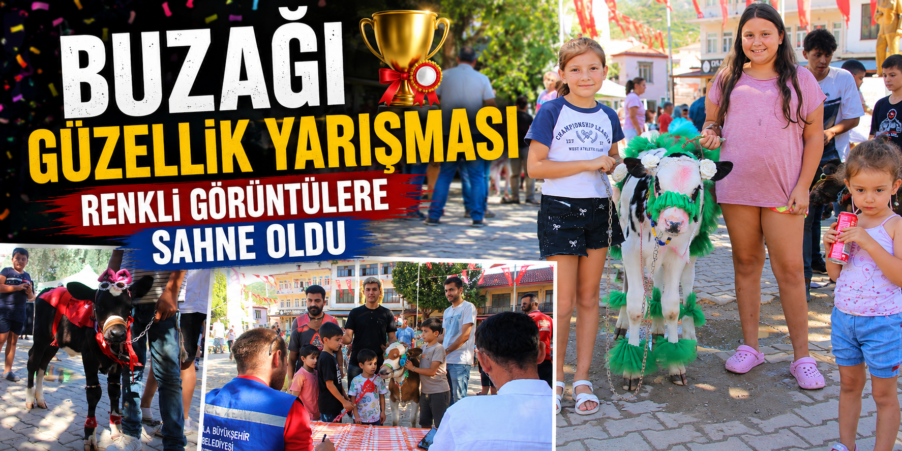 Buzağı güzellik yarışması renkli görüntülere sahne oldu