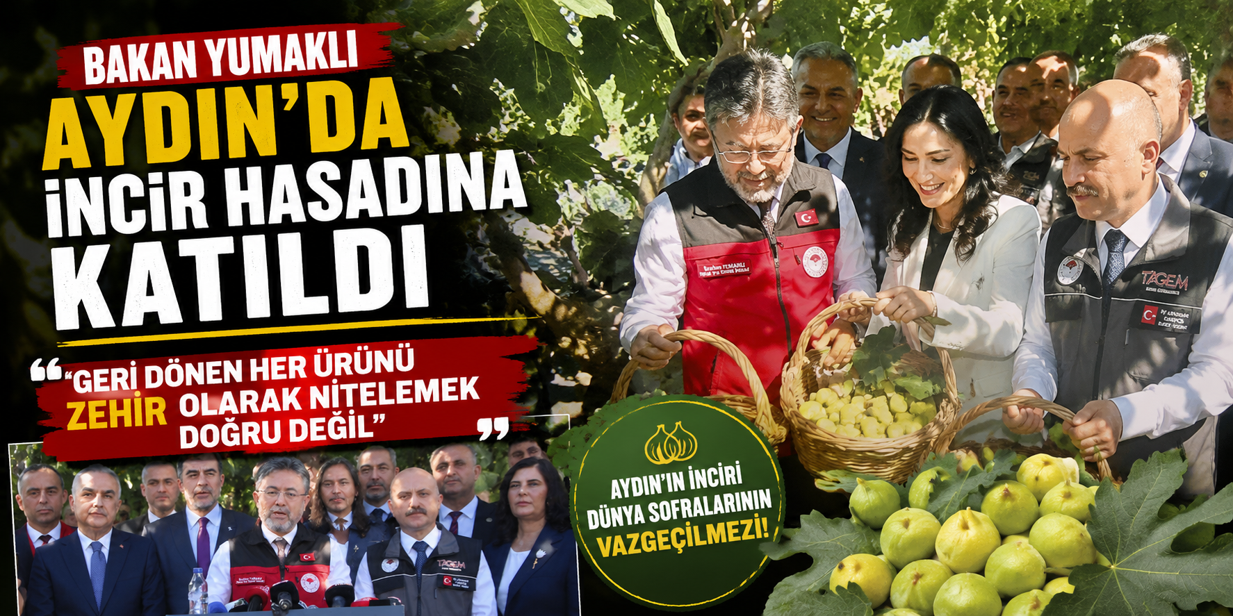 Bakan Yumaklı Aydın’da incir hasadına katıldı: “Geri dönen her ürünü zehir olarak nitelemek doğru değil”