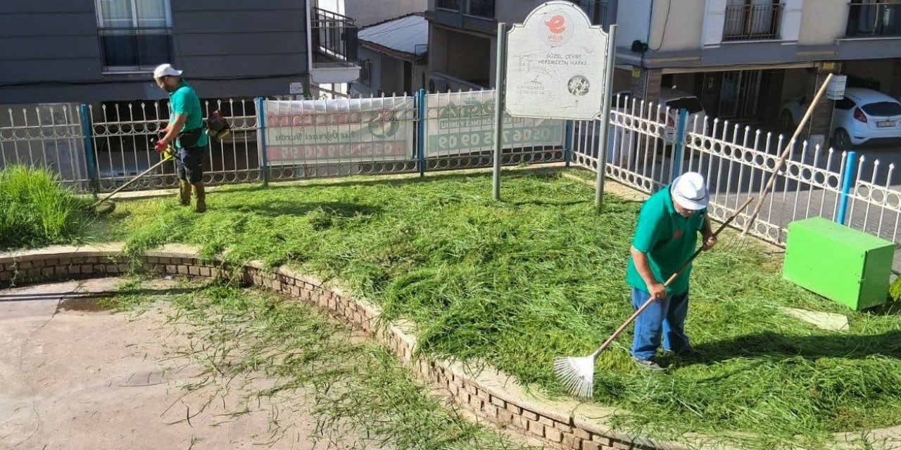 Efeler Belediyesi parklarda bakım çalışmalarını sürdürüyor