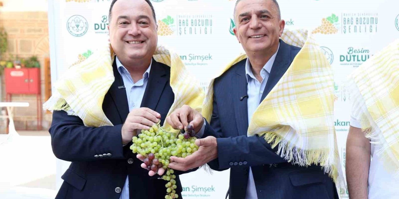 Şehzadeler’de 4 gün sürecek bağ bozumu coşkusu başlıyor