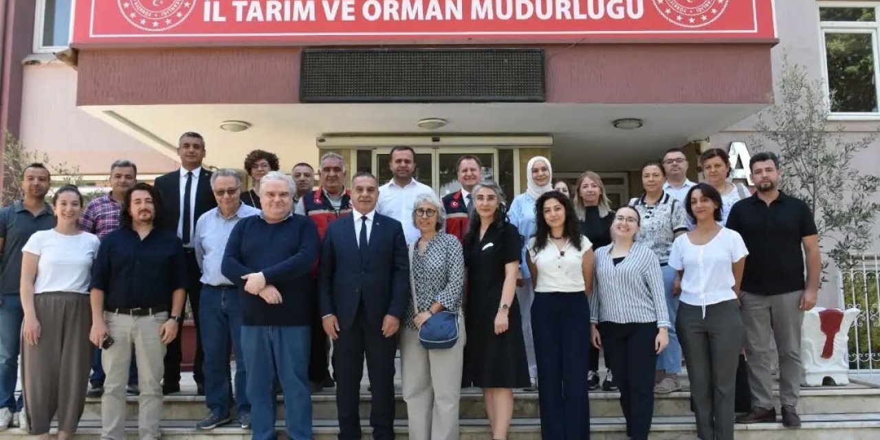 AB Misyon Heyeti Aydın incirindeki gıda güvenliğini mercek altına aldı