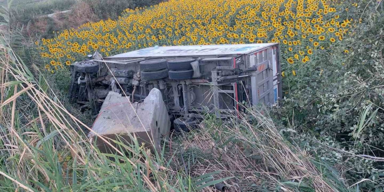 Kamyonet ayçiçeği tarlasına uçtu