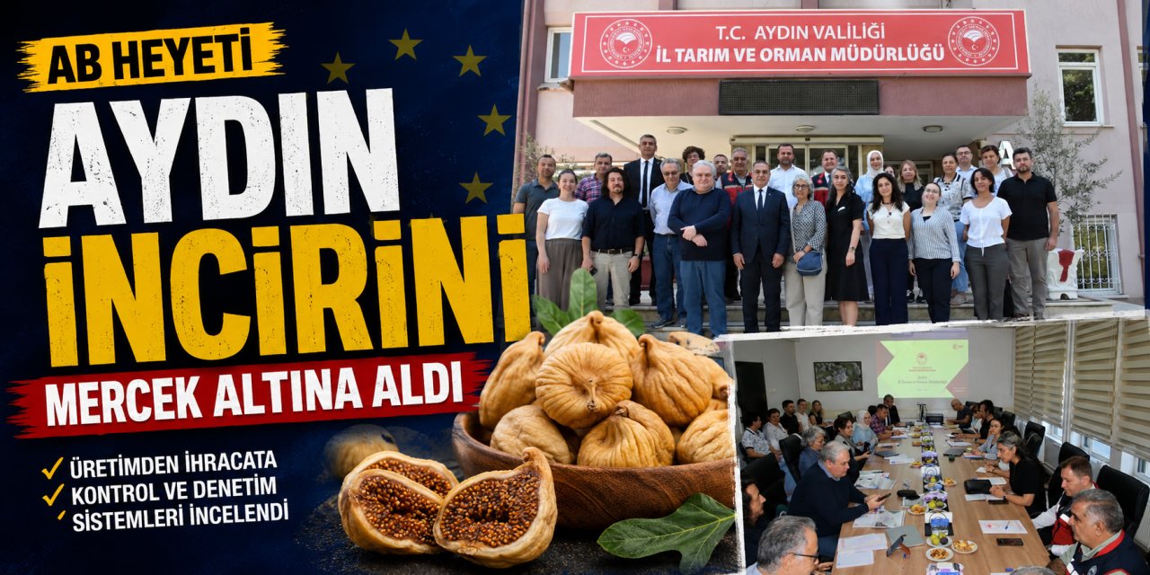 AB heyeti Aydın incirini mercek altına aldı