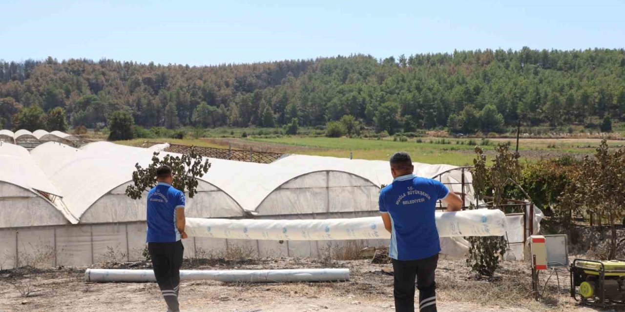 Seydikemer’de yangının yaraları bir günde sarılmaya başlandı