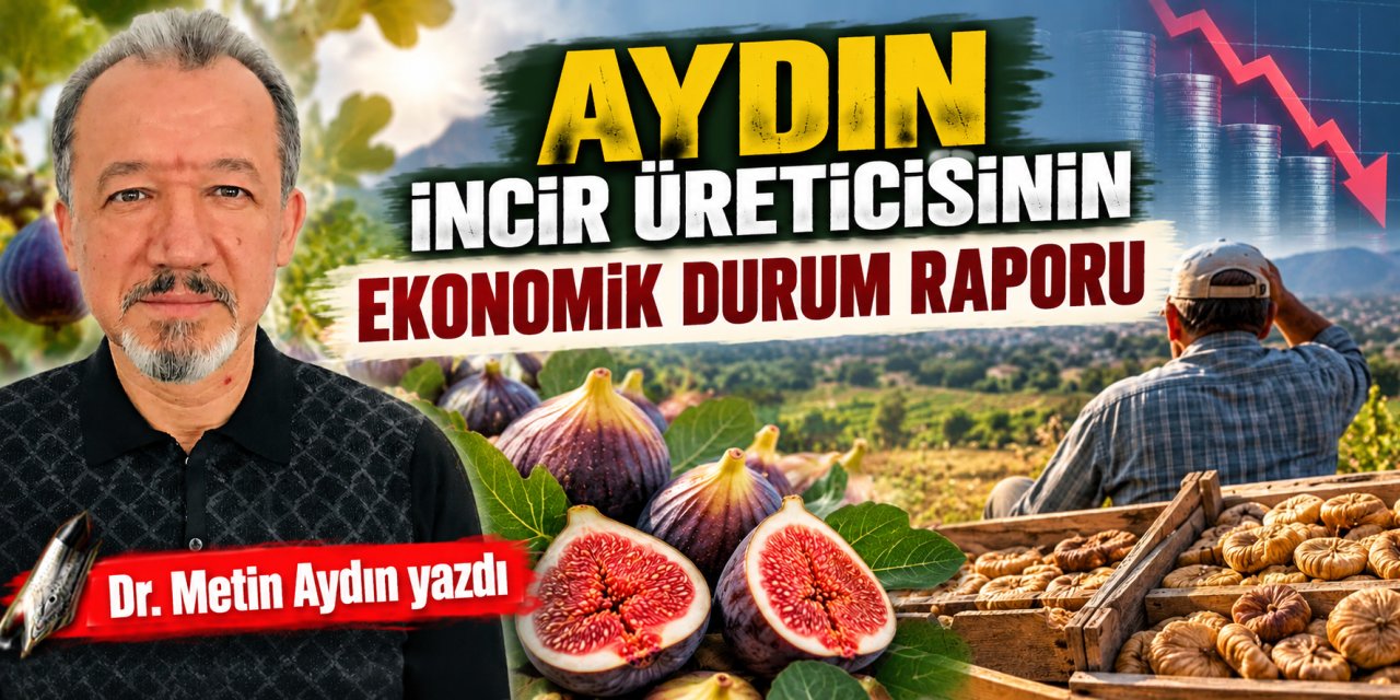 Aydın incir üreticisinin ekonomik durum raporu