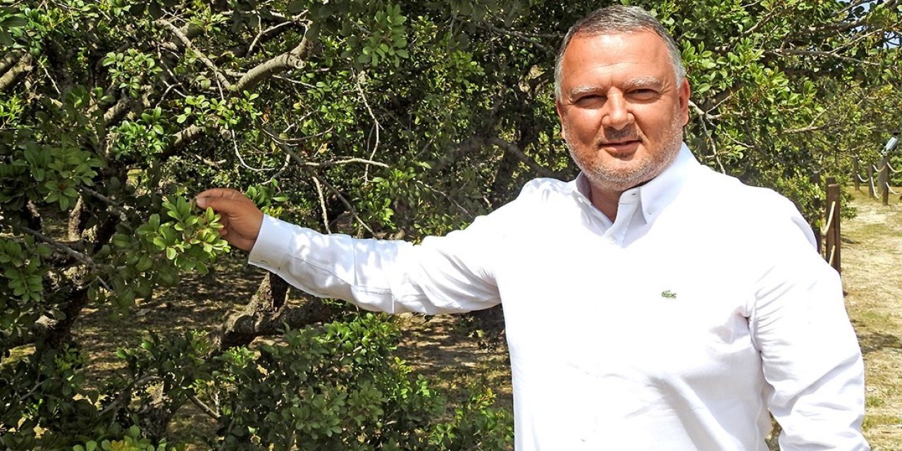 Çeşme damla sakızı uluslararası bilimsel yayına konu oldu